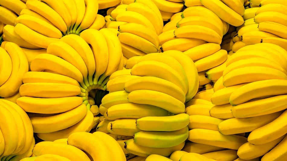 How to Get So Many Leads It’s Bananas